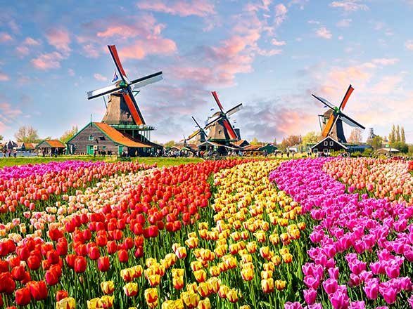 Crucero a Amsterdam